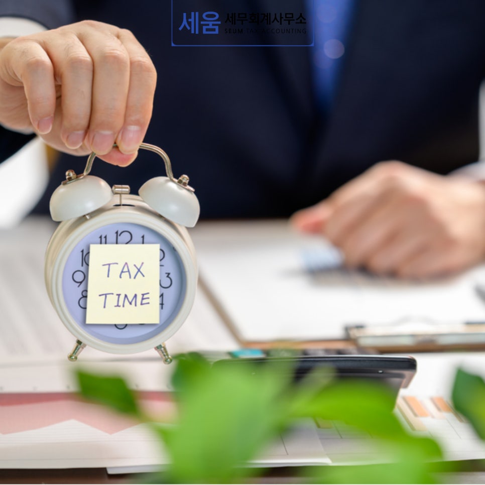 세움세무회계사무소 이미지
