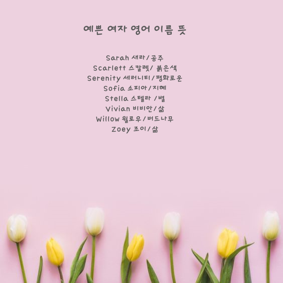 새라조이 이미지