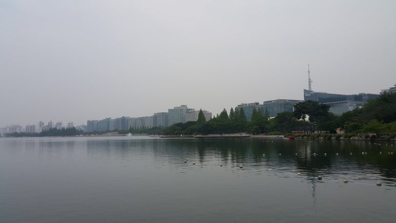 도담크린 이미지