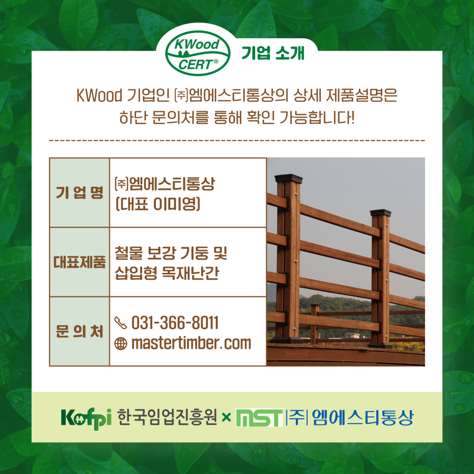 엠에스티 이미지