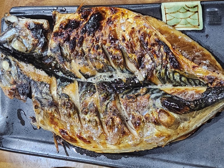 까시고기 이미지