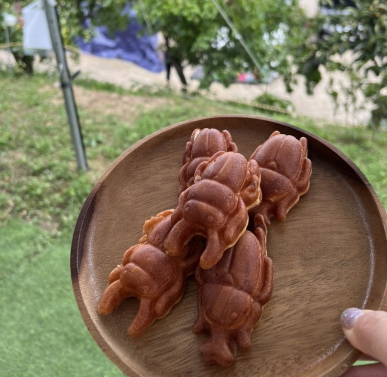 오세창곤충체험농장 이미지