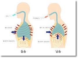 부평필라테스벨라핏 이미지