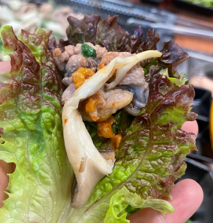 황금생오리 이미지