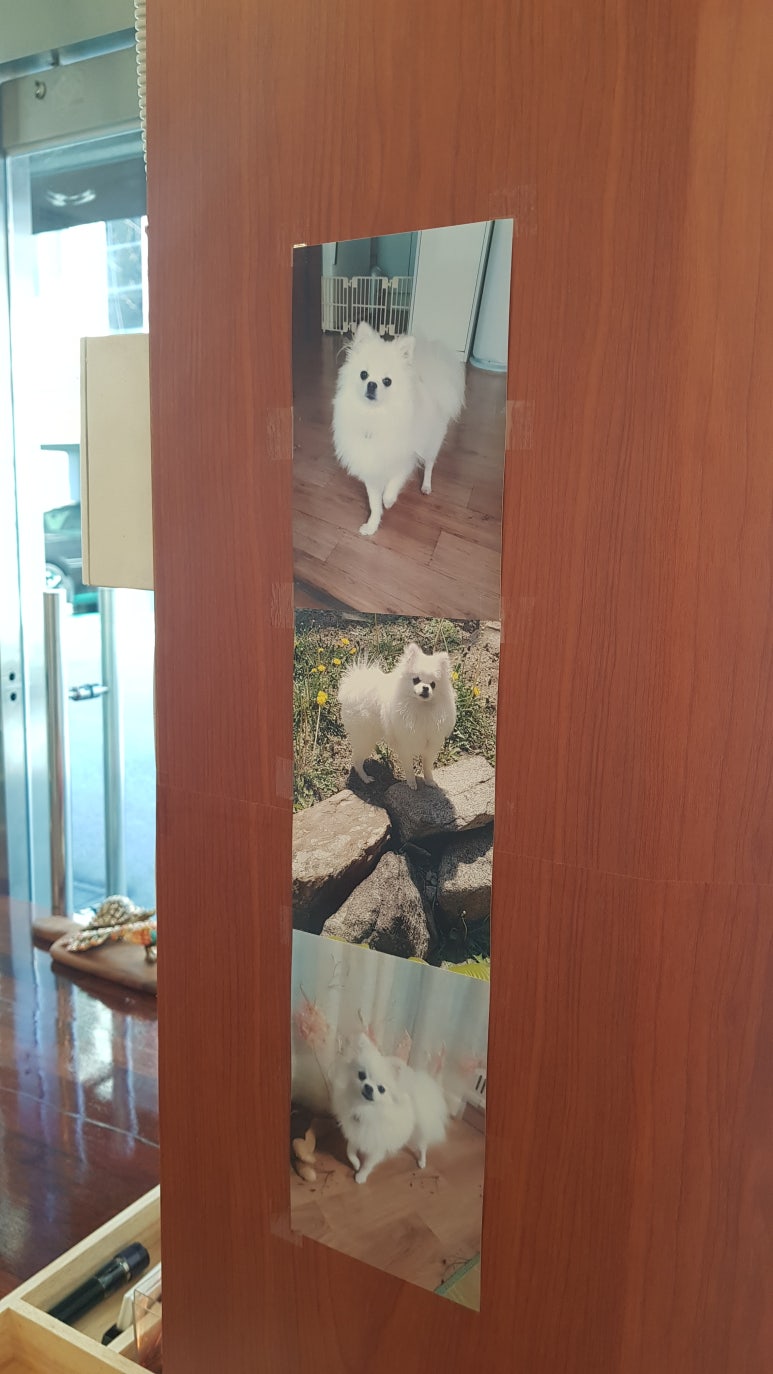 몽이네빵집 이미지