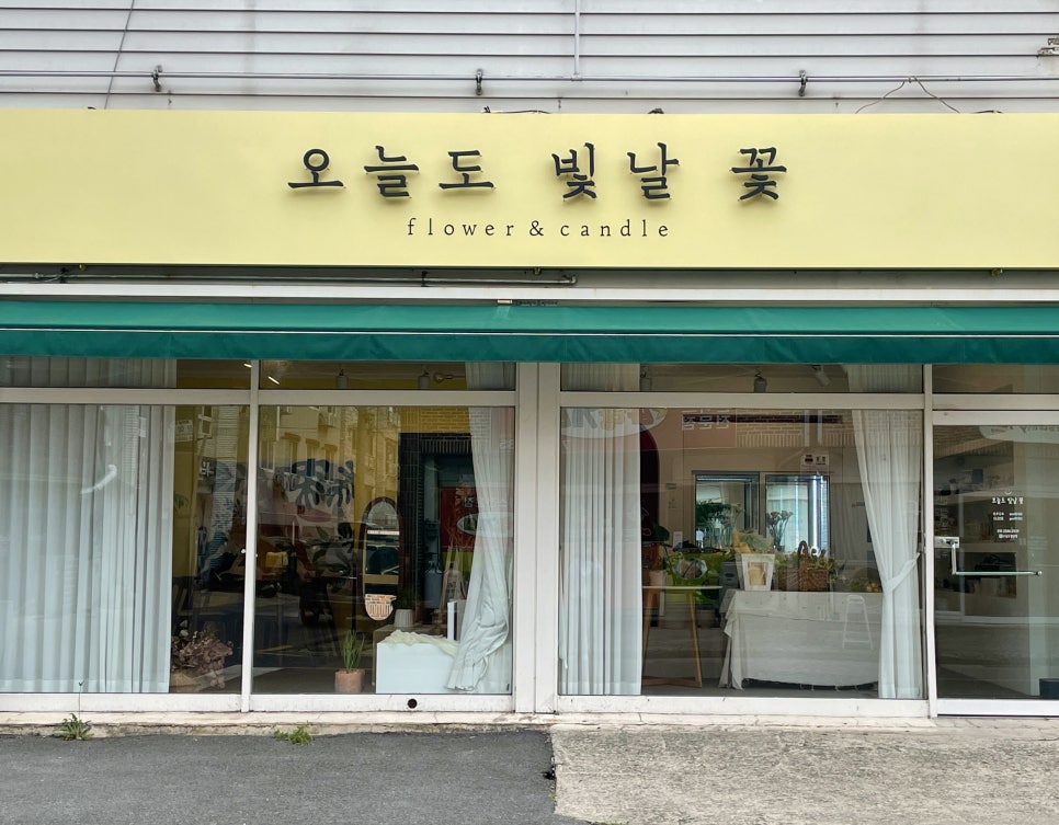 오늘도빛날꽃 이미지