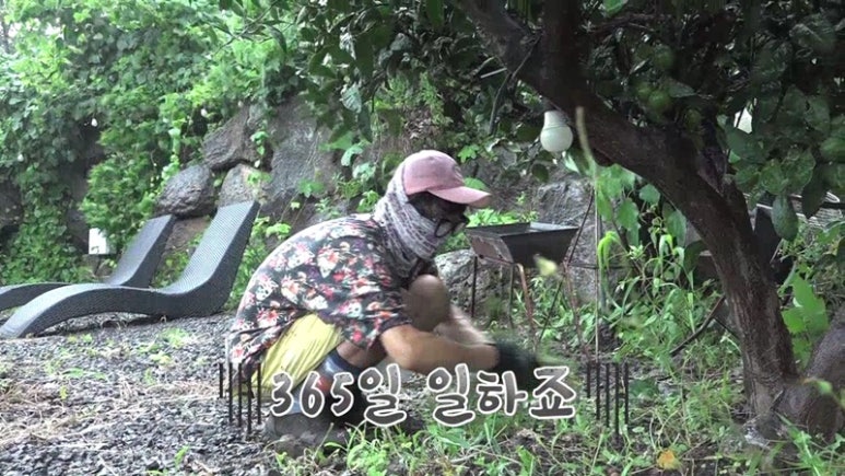 낭만제주펜션 이미지