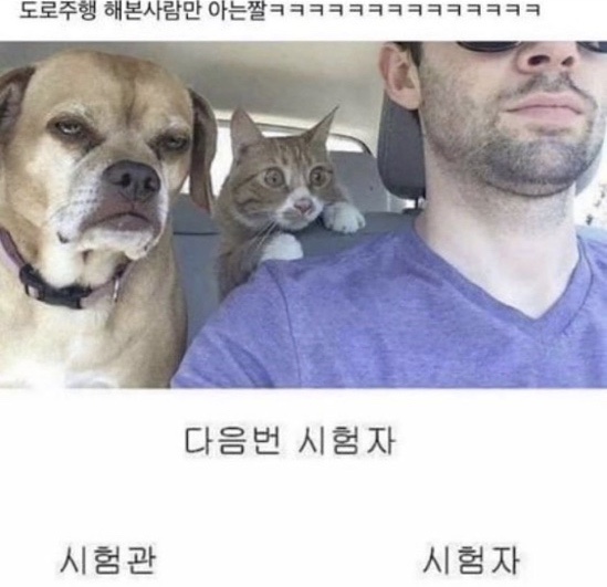 청주자동차운전전문학원 이미지