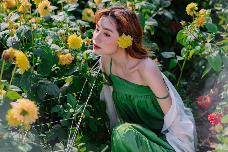 딕시 이미지