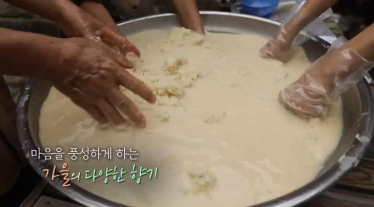 맹골농원 이미지