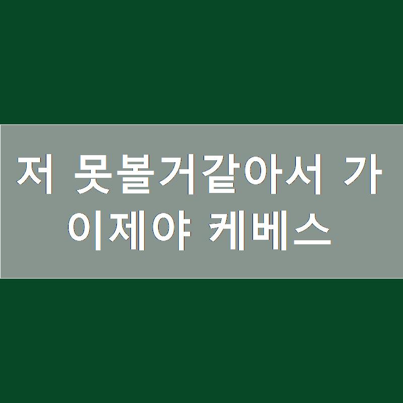 세베스 이미지