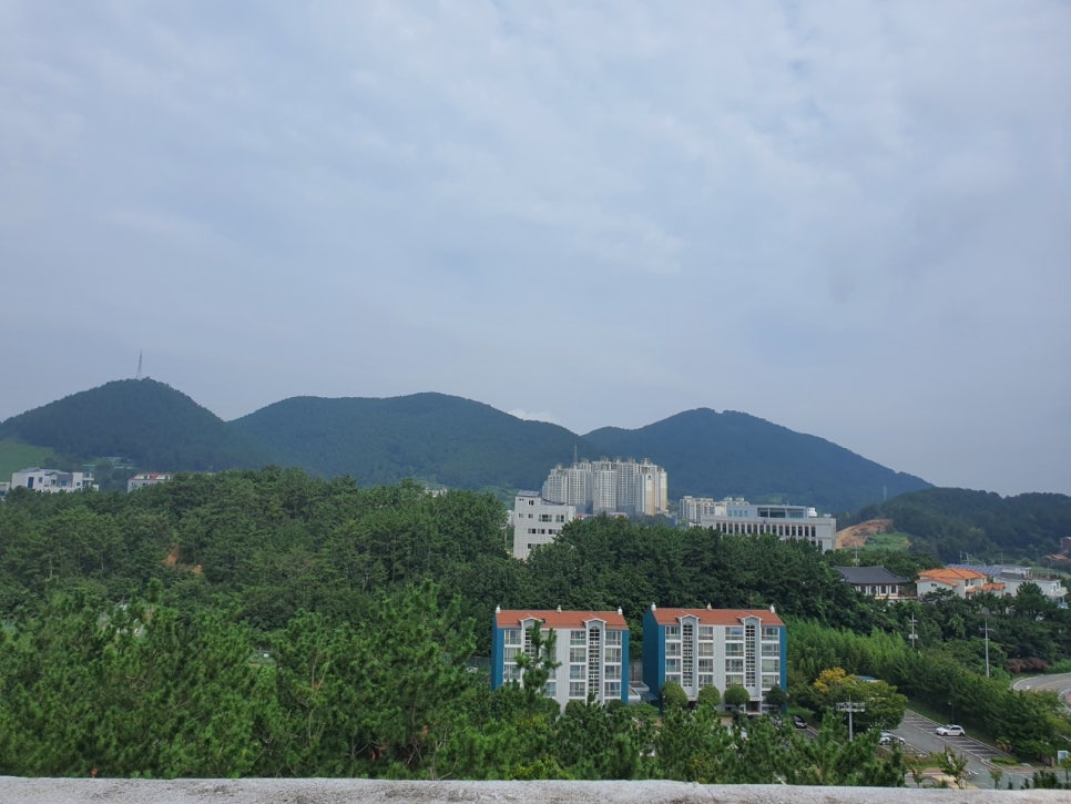 소망법무사사무소 이미지