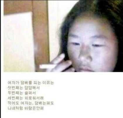 프로아티스트 이미지