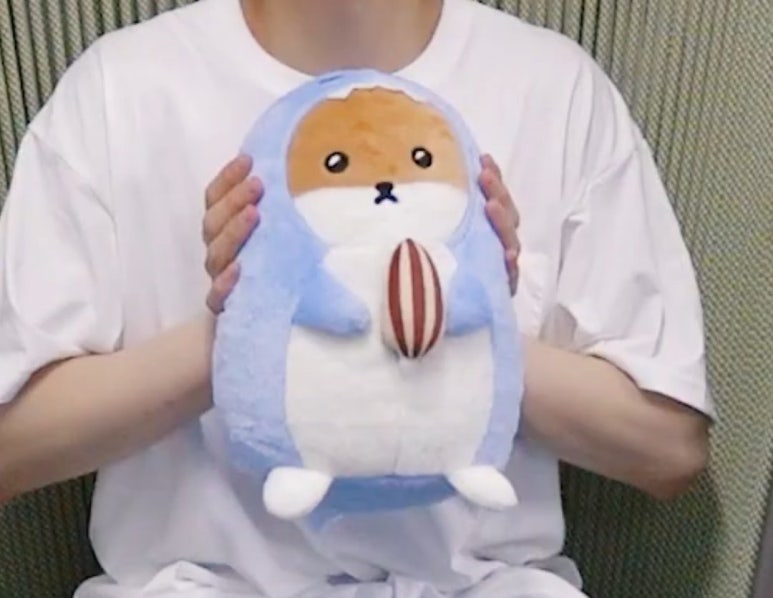 짱스타 이미지