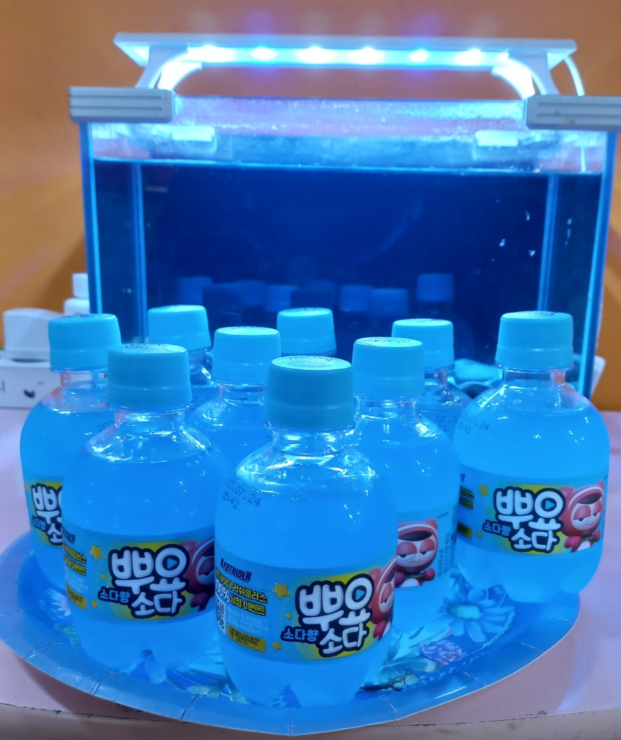 새상지음악학원 이미지
