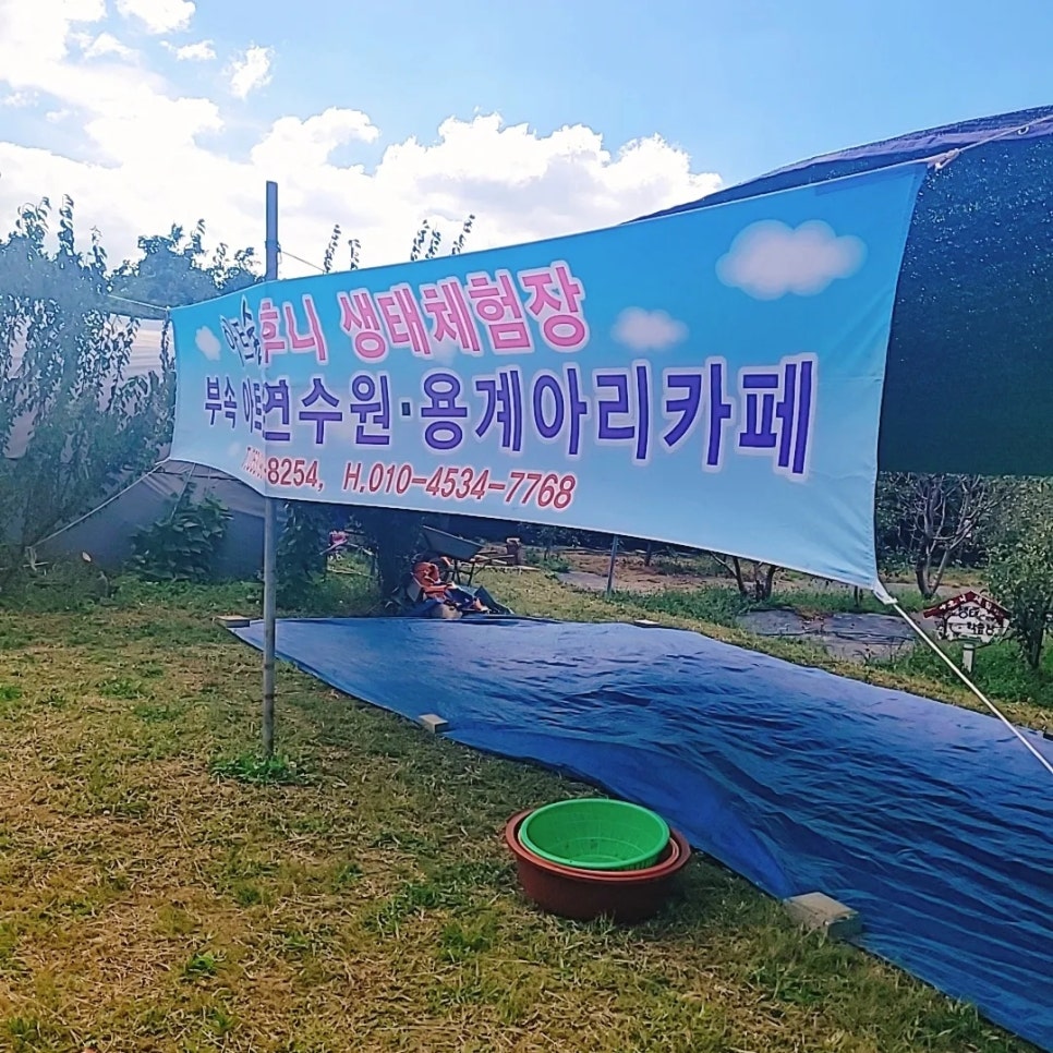 아트숲연수원아트숲연수원아리카페 이미지