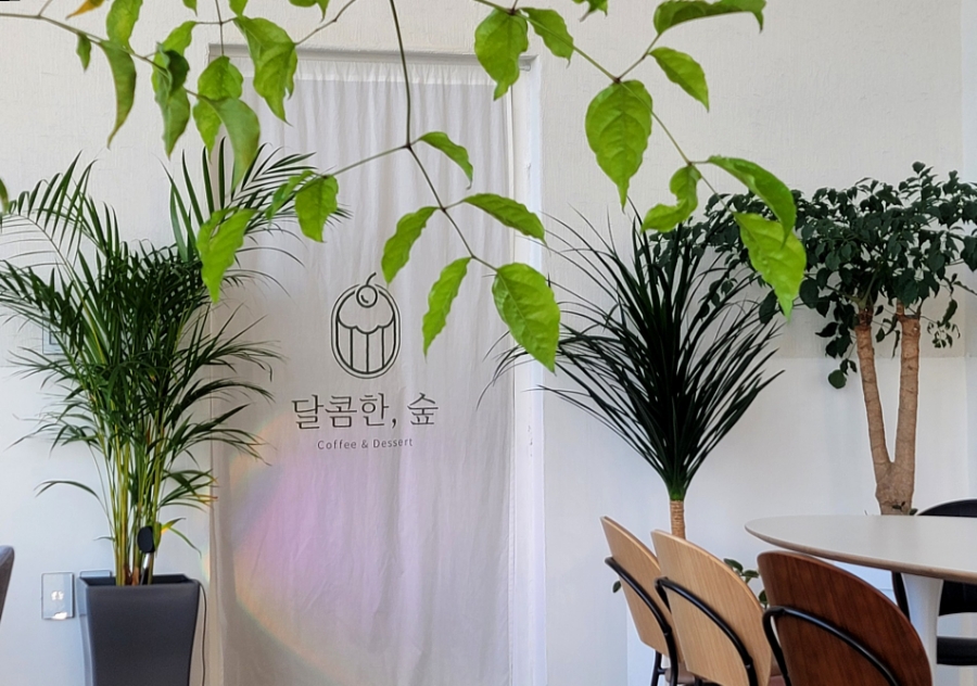 달콤한숲 이미지
