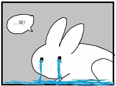 고추나라 이미지