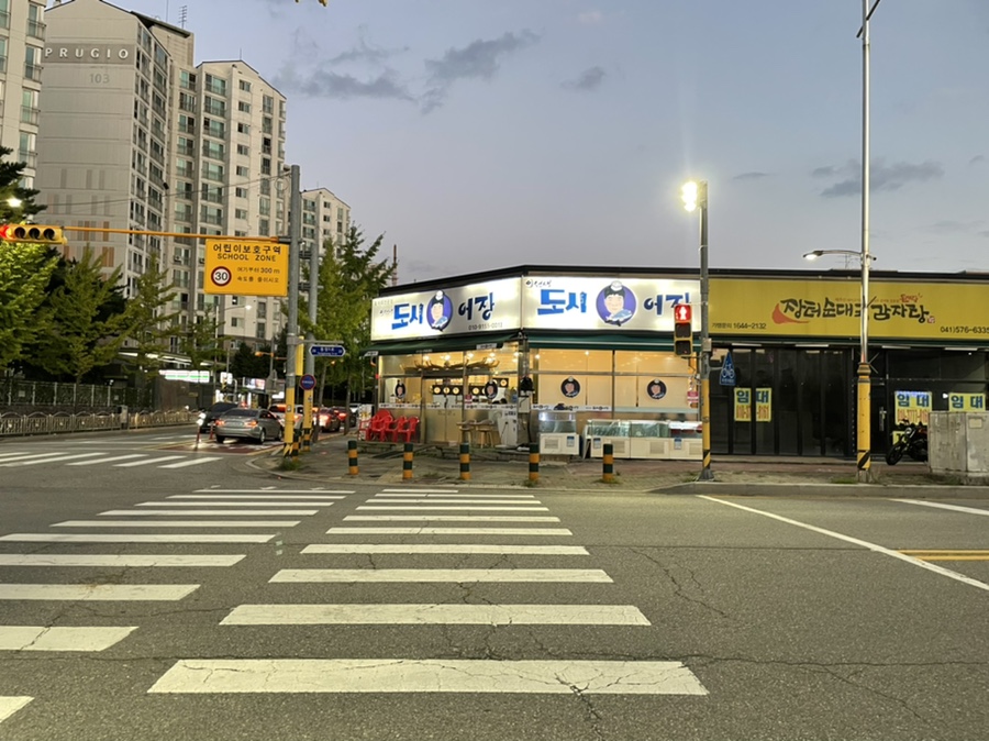 이선생도시어장 이미지