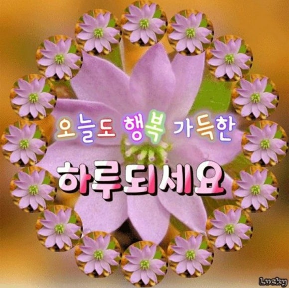 데일리헤어 이미지