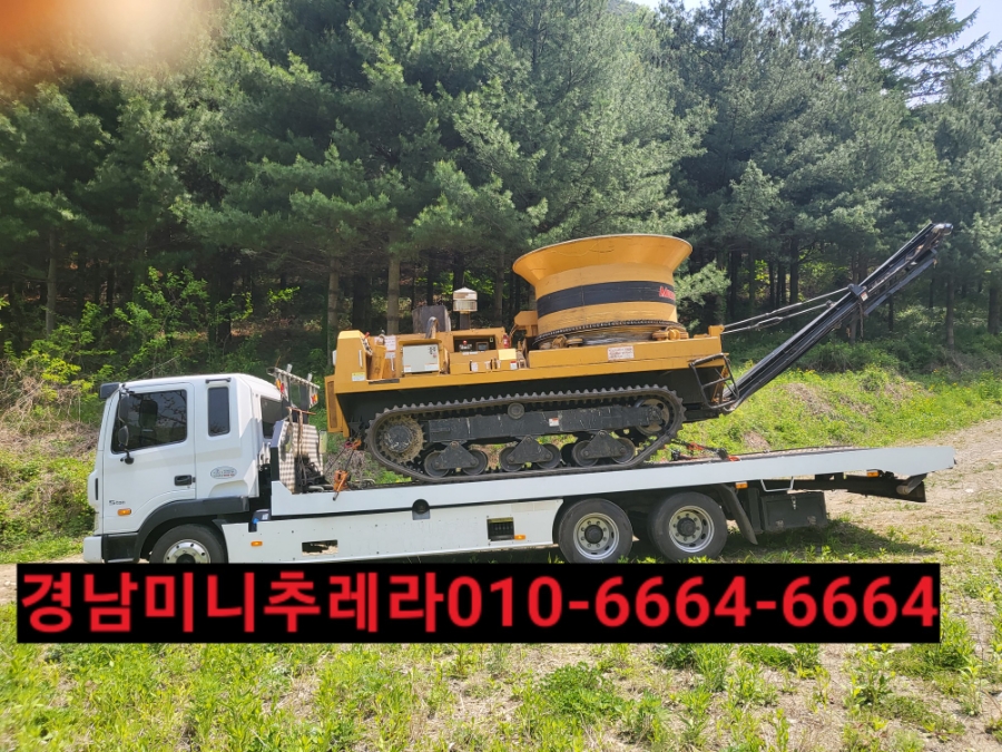 합천추레라 이미지