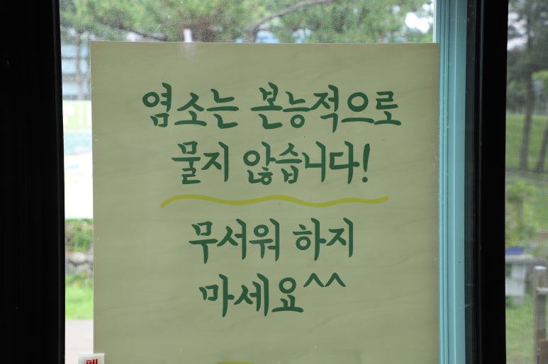 우리흑염소 사진 5