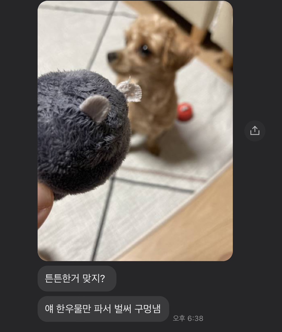 은정상회 이미지