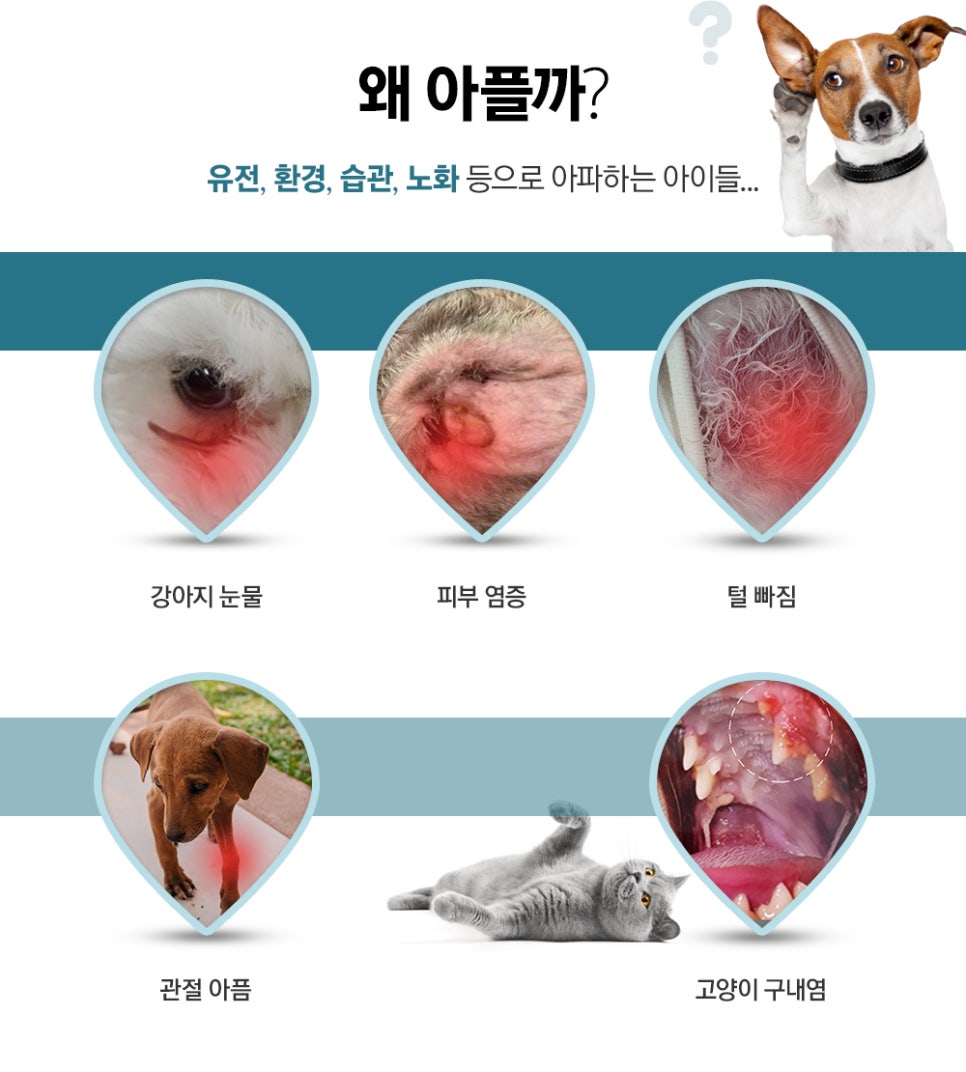 더힐링센터 이미지