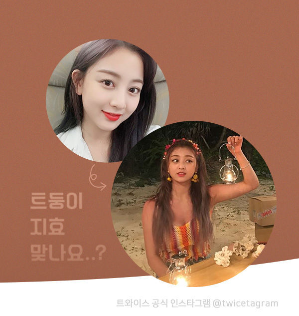 태닝아일랜드 이미지