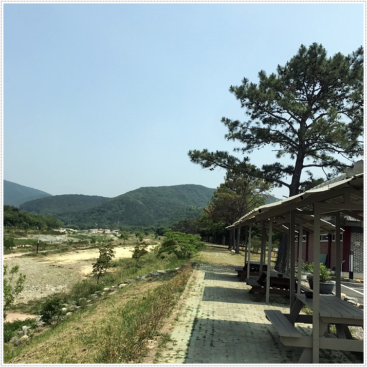 돌숯불갈비식당 이미지