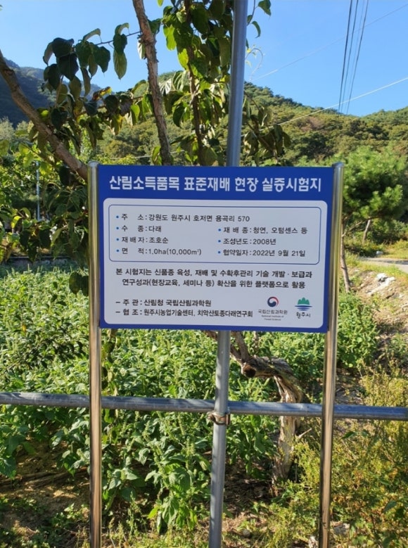 다래유통 이미지