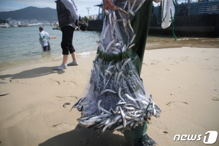 푸른건강식품연구원 이미지