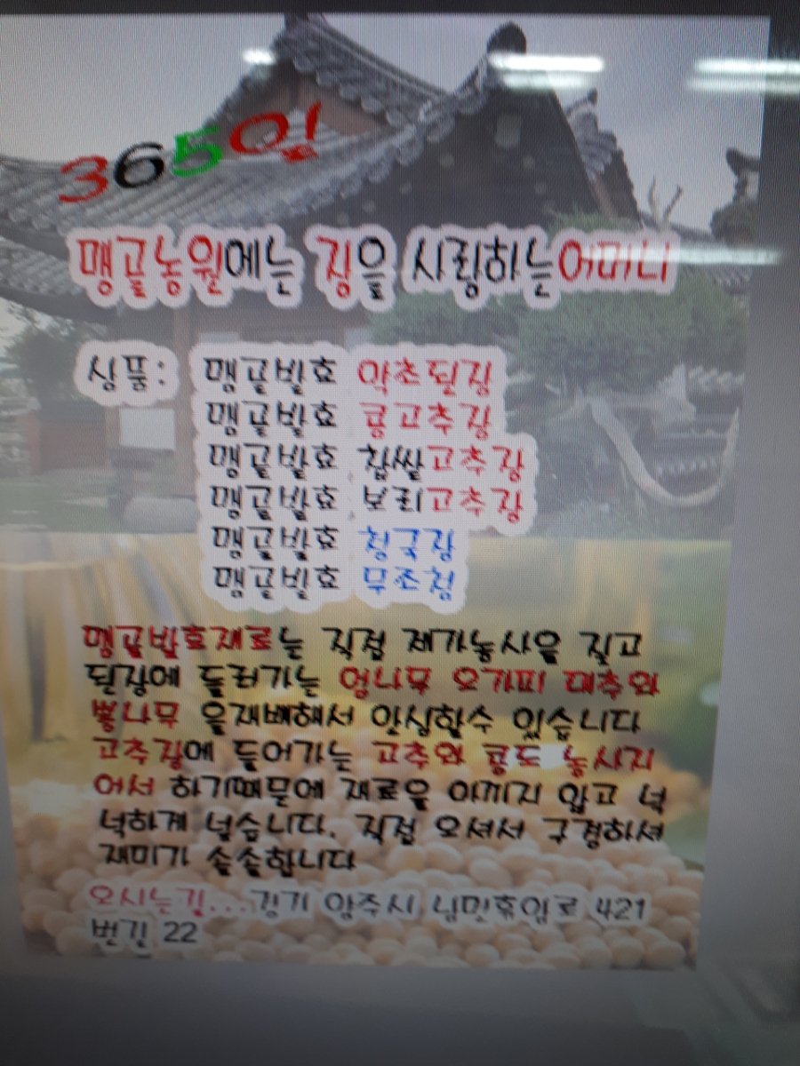 맹골농원 이미지
