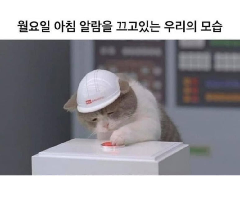 카츠식당 이미지