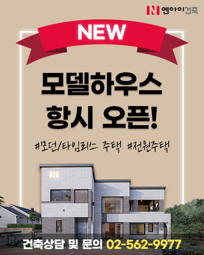 엔아이 이미지