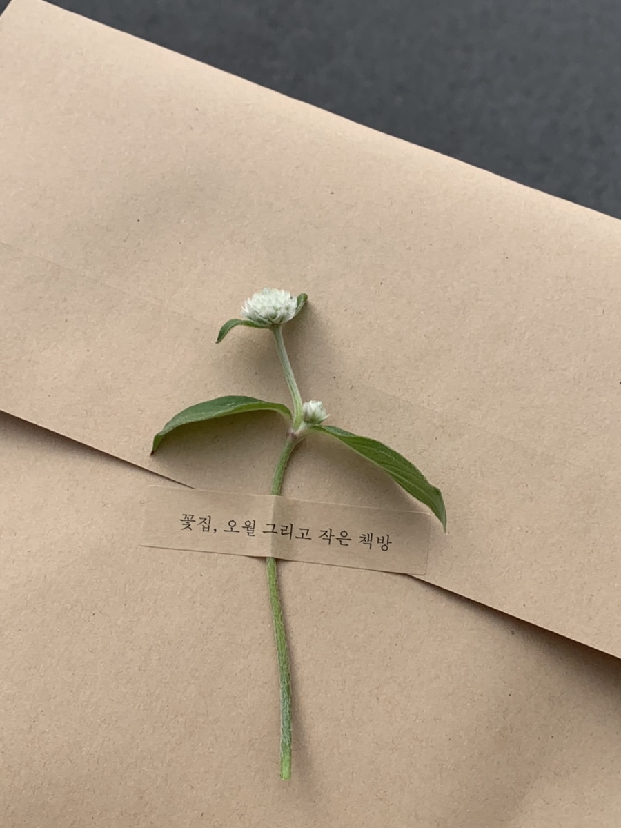 꽃집;오월그리고작은책방 이미지