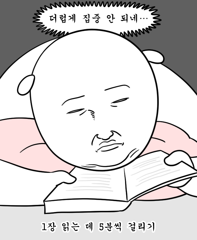 메그네이트 이미지