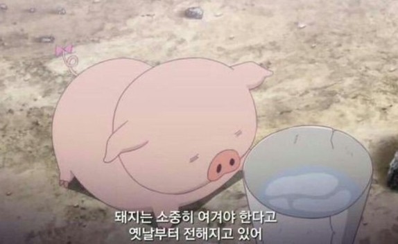 암돌 속풀이 칼국수 이미지