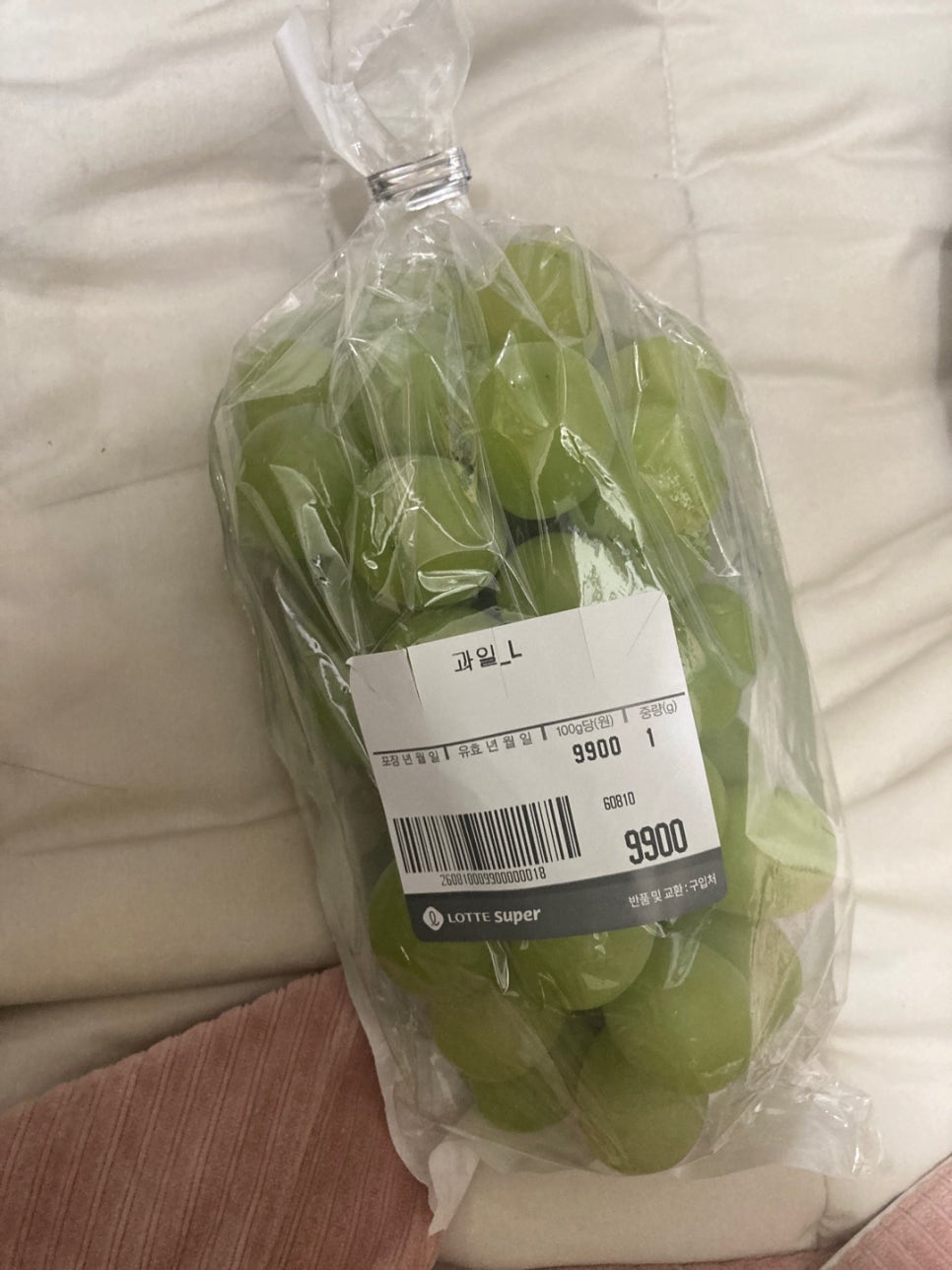 롯데프레시서초대로점 이미지