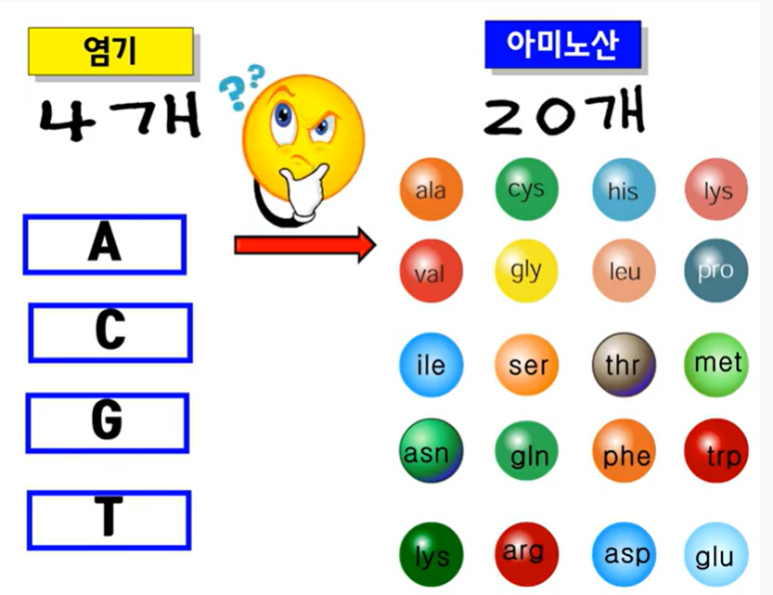 트리플렛 이미지