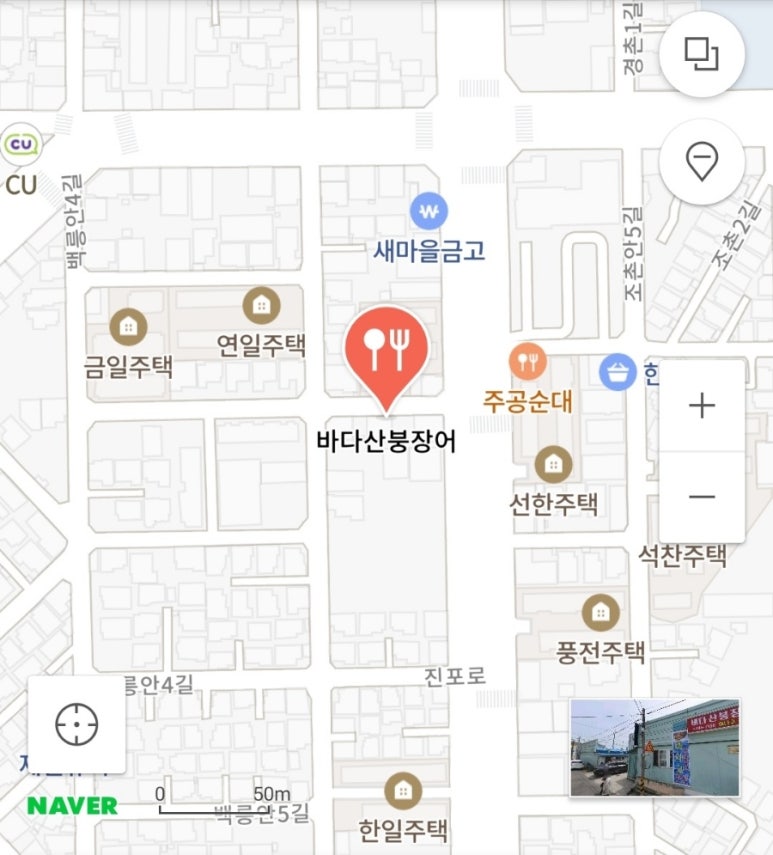 바다산장어 이미지