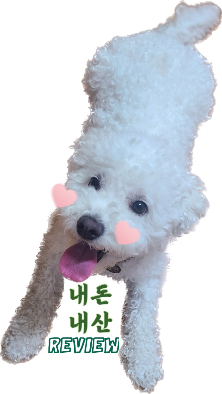 케이헤밍웨이베이커리카페 이미지