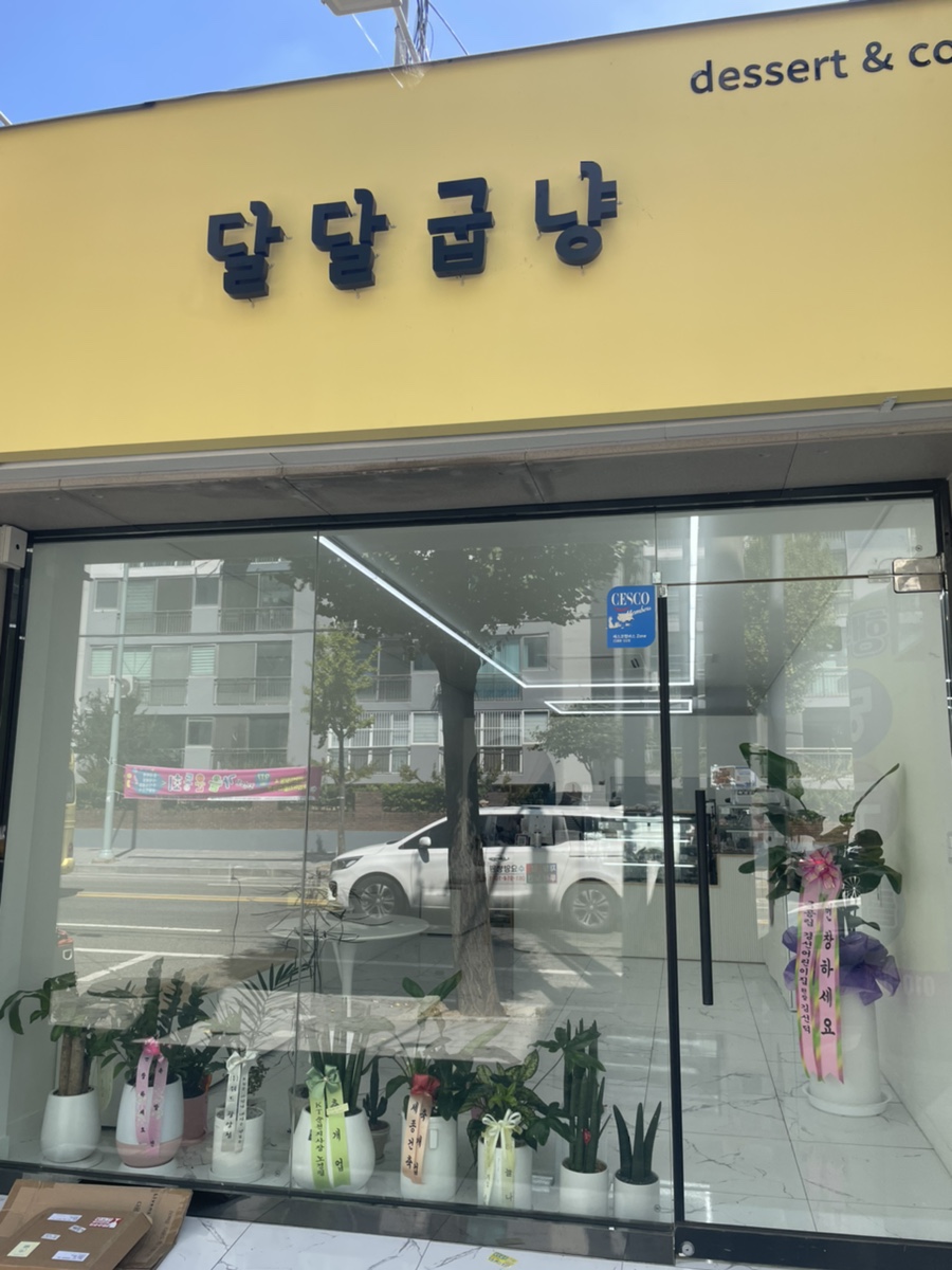 달달굽냥 이미지