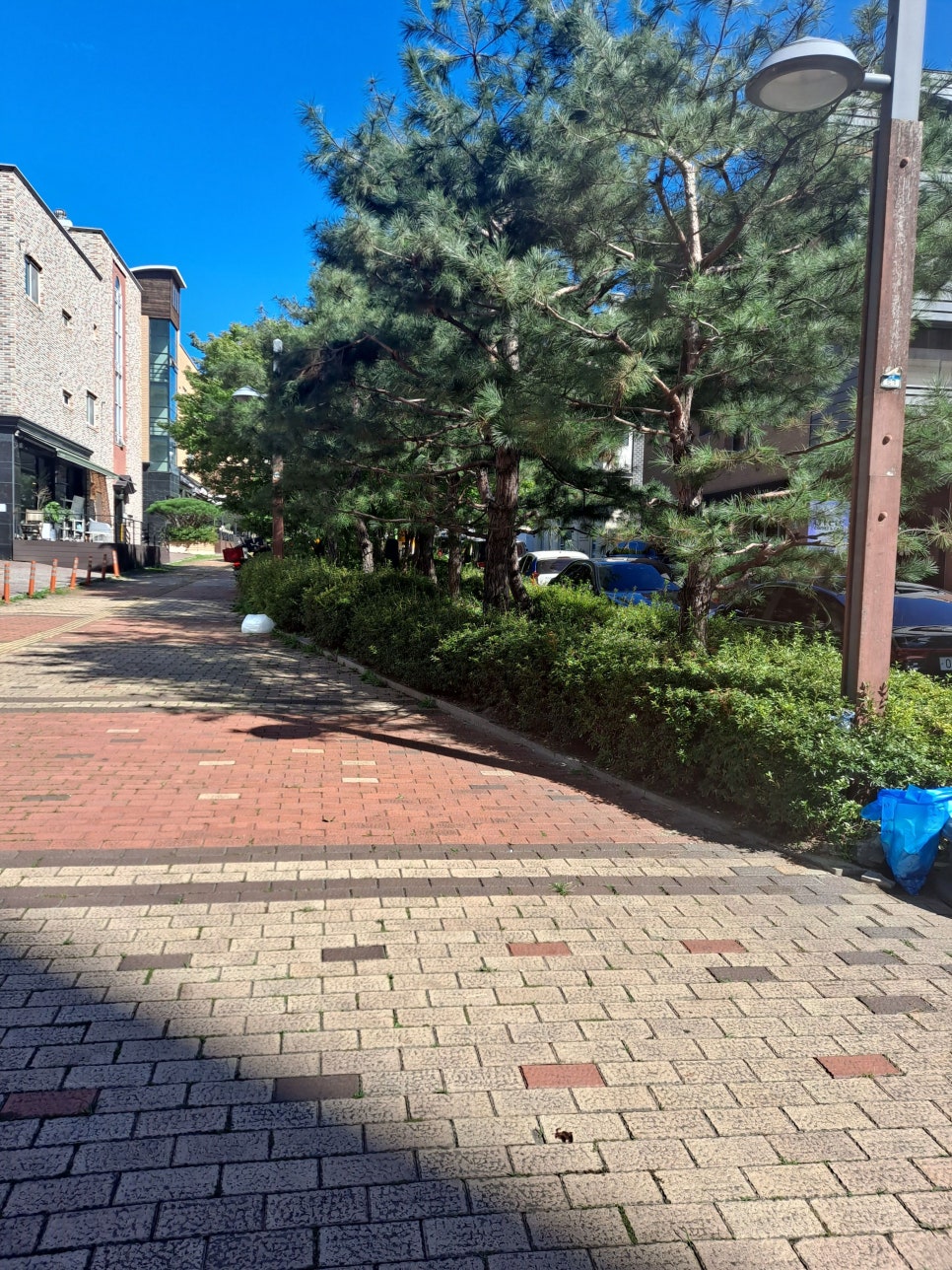 벽지/장판/마루 소매업 이미지