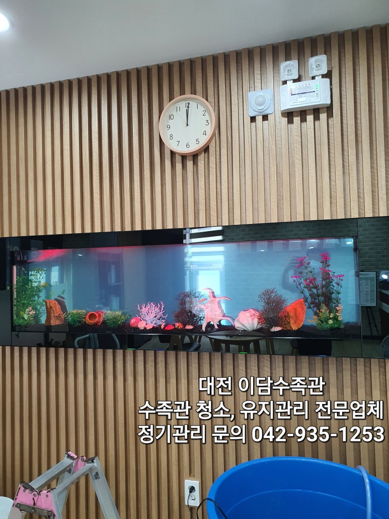 최재호마취통증의학과의원 이미지