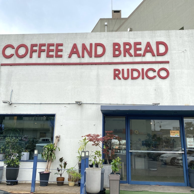 루디꼬(rudico) 이미지