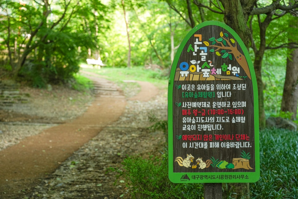 앞산고산골 유아숲체험원 이미지