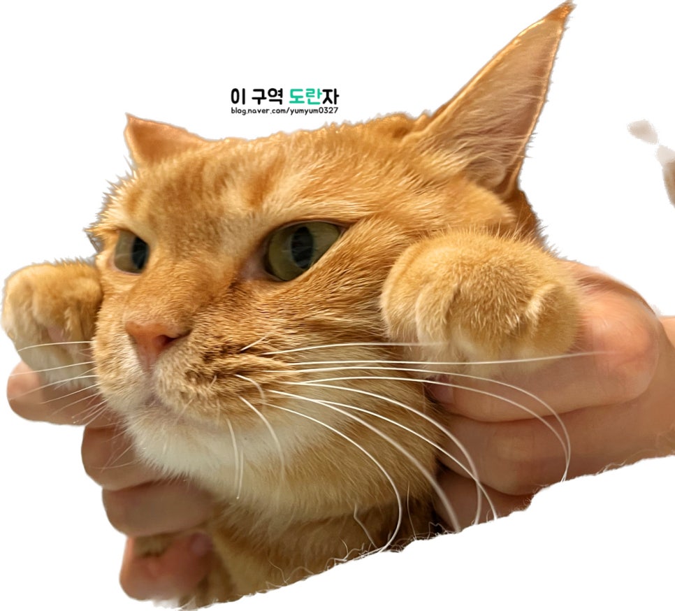 영이네수제맛찬 이미지