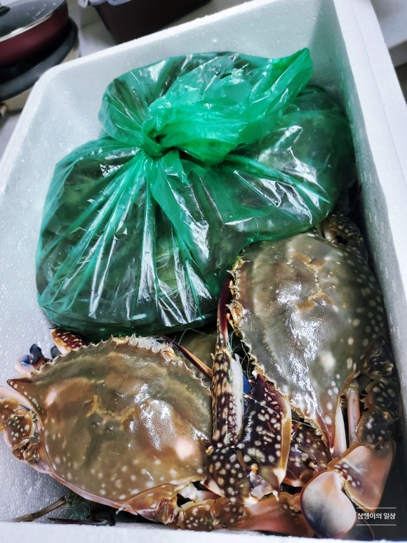 이모네농수산물 이미지