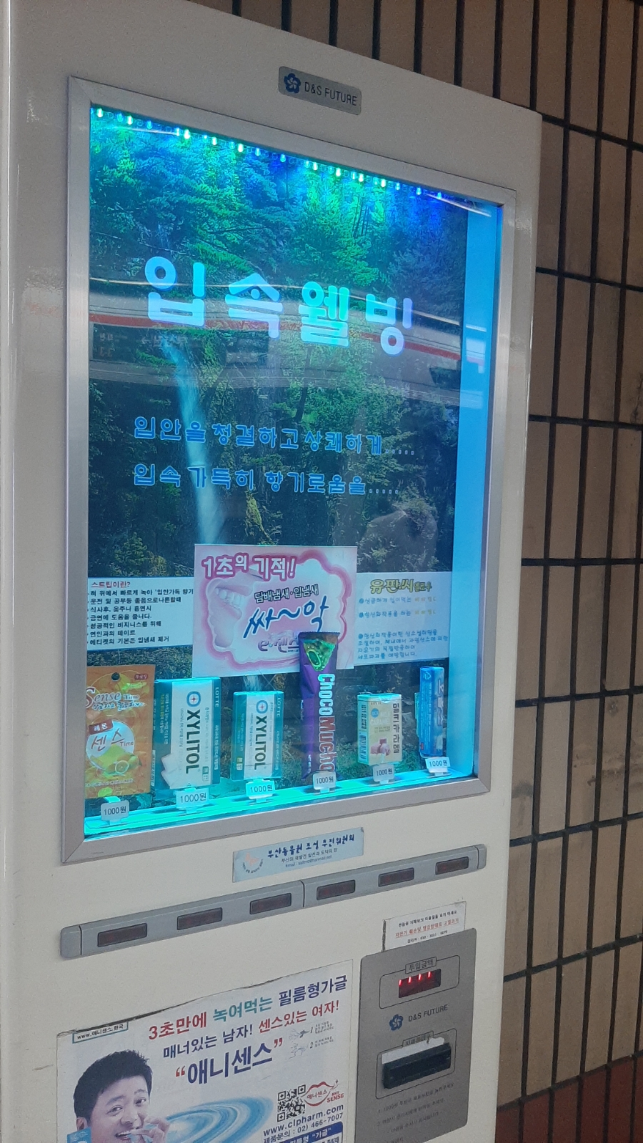 캔디노래연습장 이미지